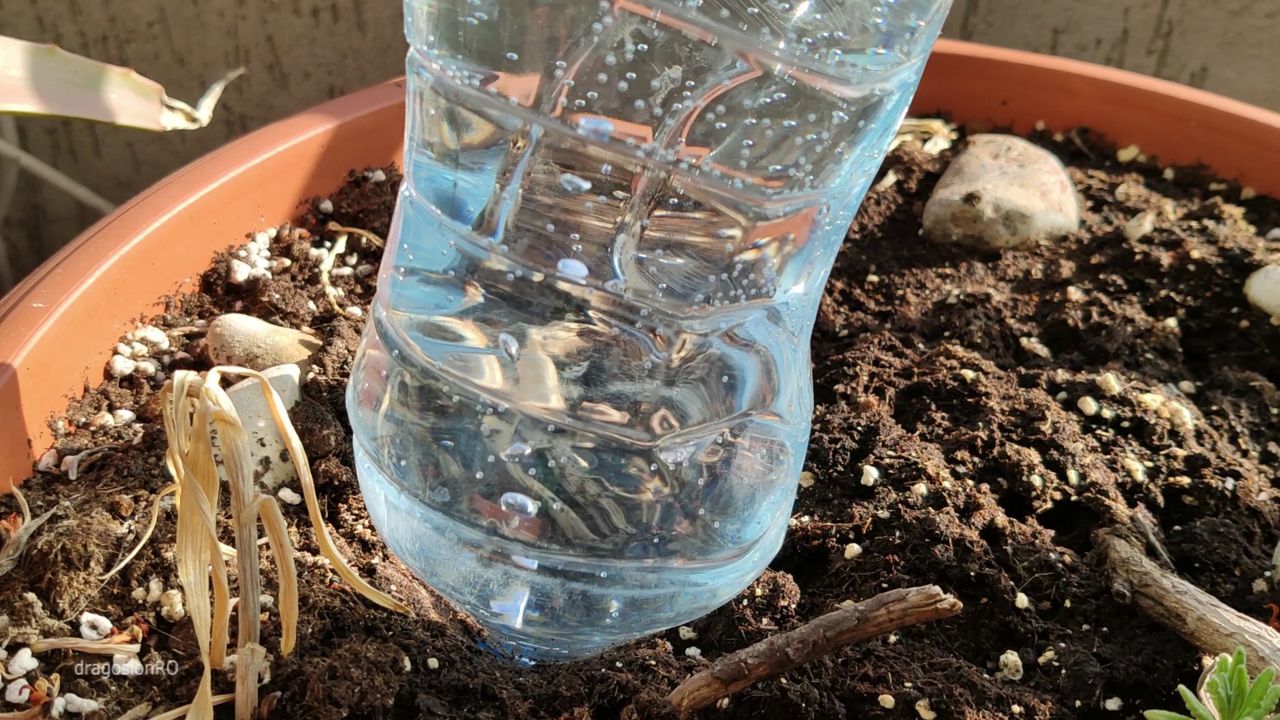 DIY Drip Irrigation System - DIY Projects